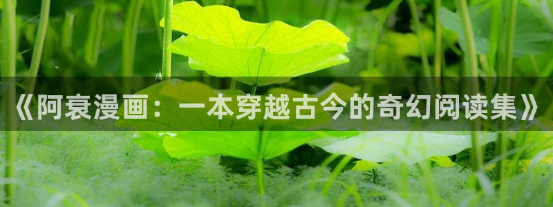 包子漫画官方正版