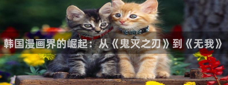 我为邪帝漫画包子漫画